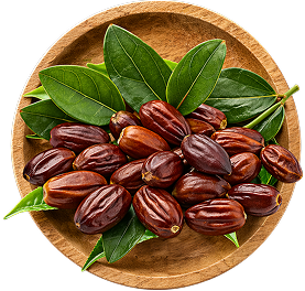 Jojoba